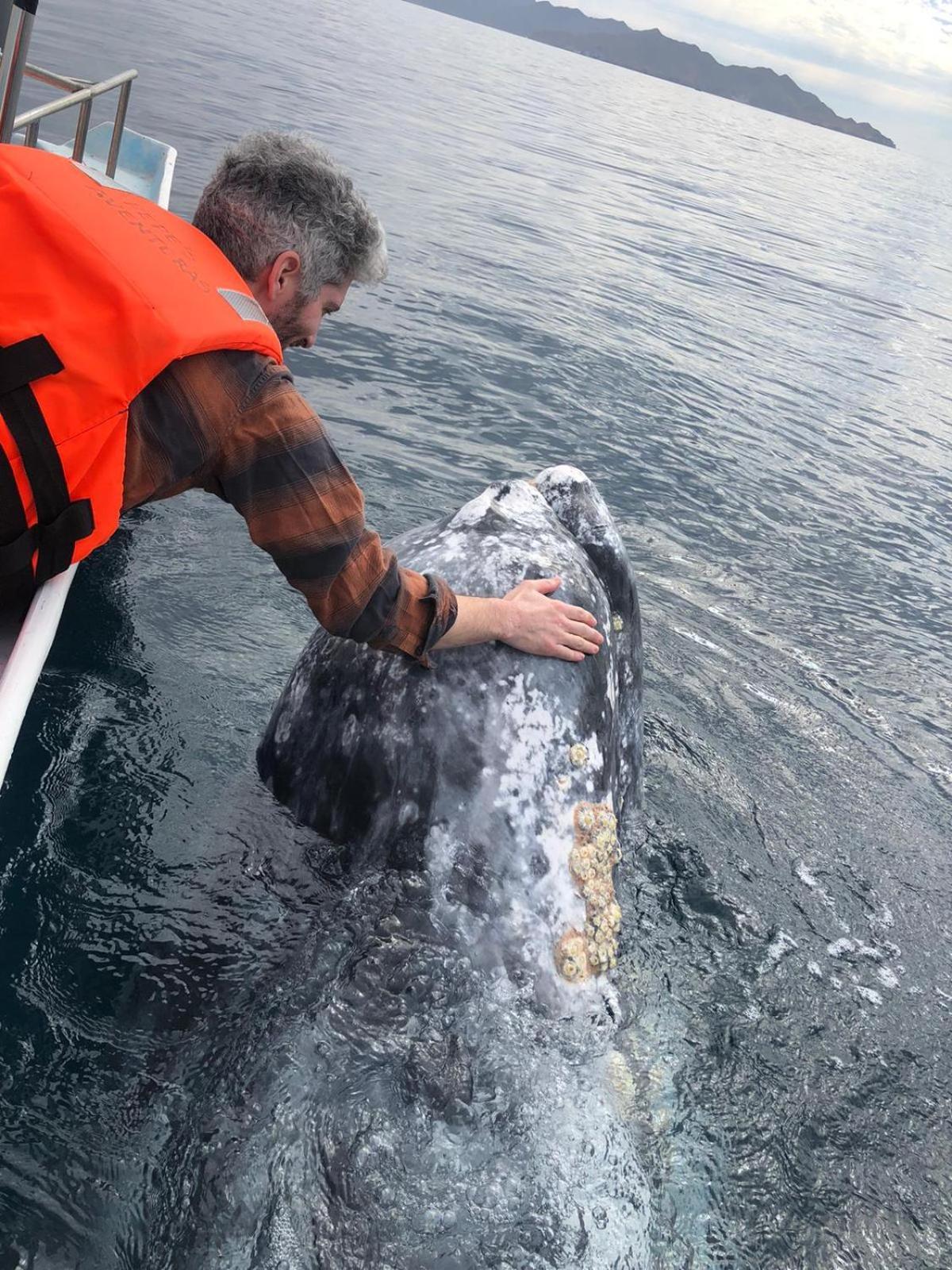 Hotel- Whale Tours And Sport Fishing Vista Mag-Bay Puerto San Carlos Exteriör bild