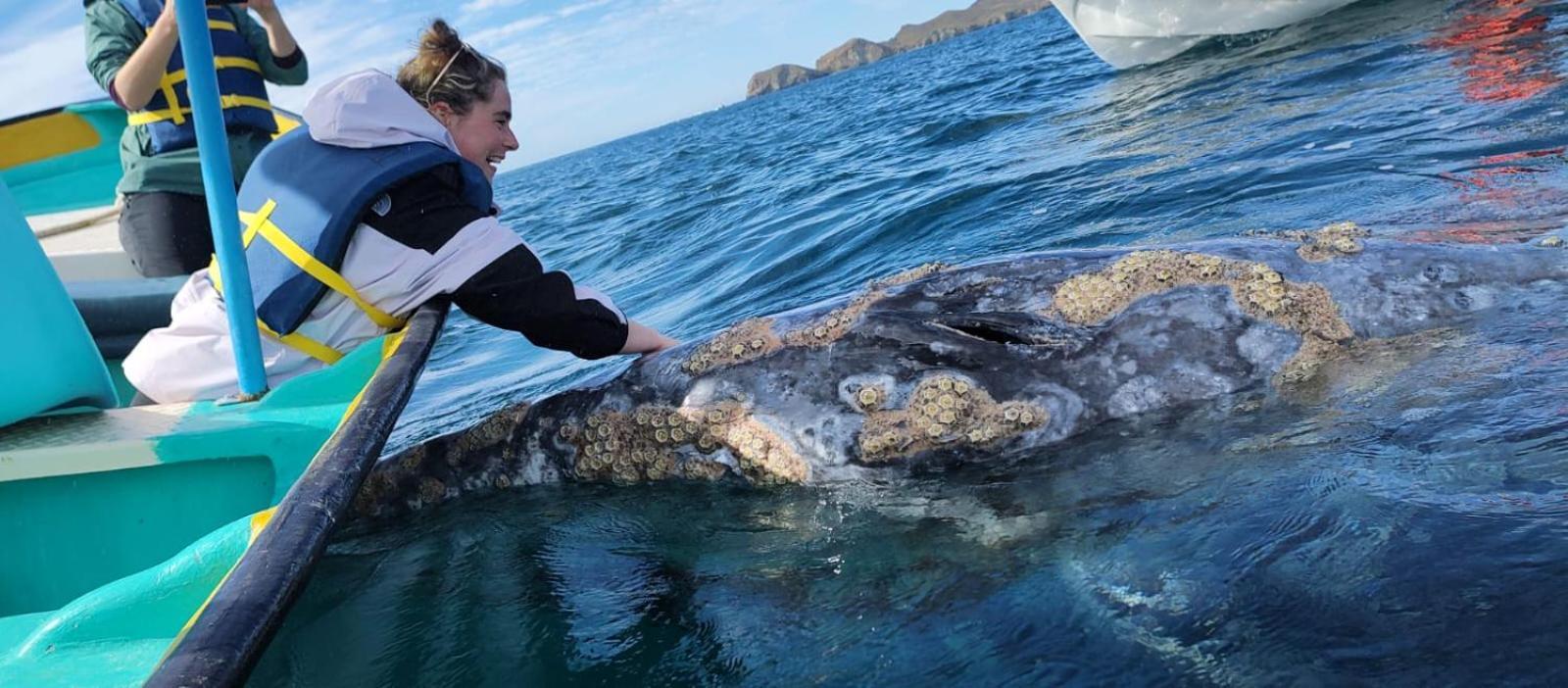 Hotel- Whale Tours And Sport Fishing Vista Mag-Bay Puerto San Carlos Rum bild